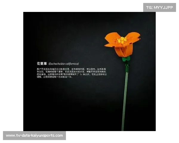 五年花掉!上海年轻人揭秘“值不值”的背后故事 五年花掉!上海年轻人揭秘“值不值”的背后故事